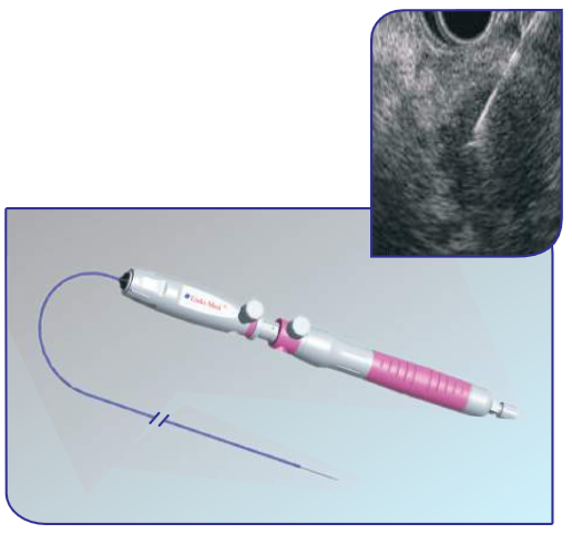 EUS & EBUS FNA SYSTEM