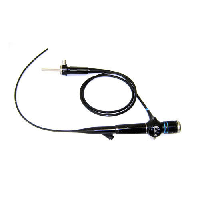 Endoscope